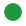 Groen Dot 2
